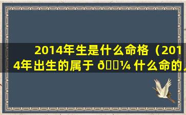 2014年生是什么命格（2014年出生的属于 🐼 什么命的人）